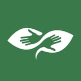 Two white hands gesturing a caring gesture on a green background, representing support and compassion